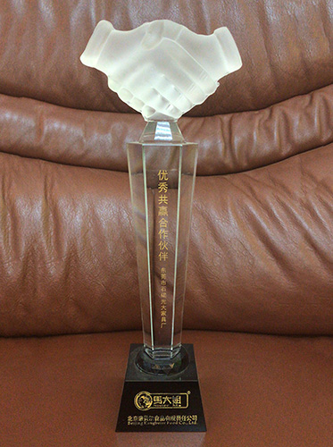 马大姐优秀合作伙伴